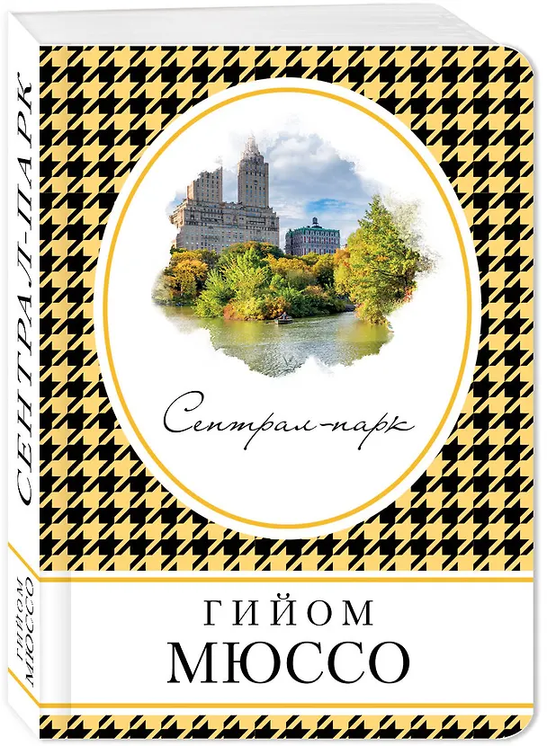 Книга Сентрал-парк (Гийом Мюссо) — 4