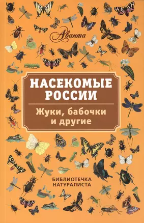 Насекомые России. Жуки, бабочки и другие — 2413847 — 1