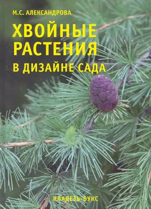 Хвойные растения в дизайне сада — 2252955 — 1