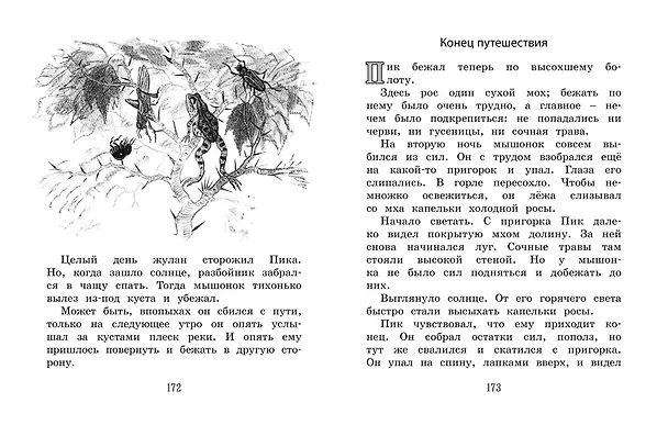 Книга Лесные сказки и рассказы (иллюстр. Е. Рачёва) (Виталий Бианки) — 7