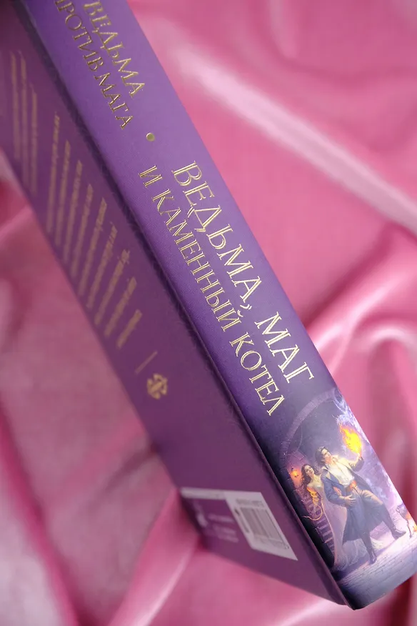 Книга Ведьма, маг и каменный котел (Александра Лисина) — 12