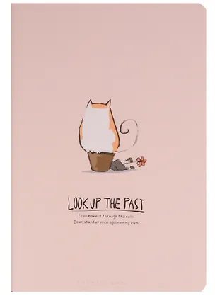 Тетрадь в линейку AnAn, Look up the past, 40 листов 243309