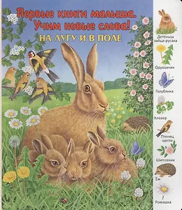 На лугу и в поле