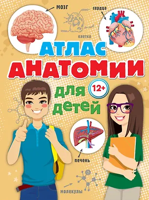 Книга Атлас анатомии для детей (Александр Швырев)