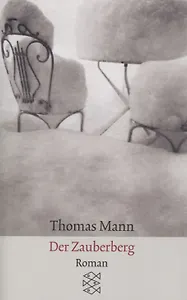 Der Zauberberg Roman