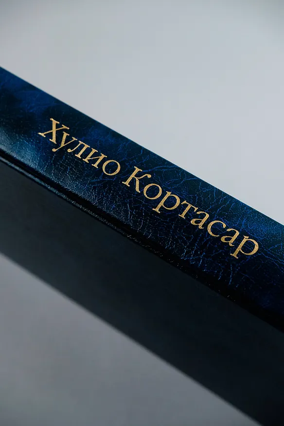 Книга Книга Мануэля (Хулио Кортасар) — 10