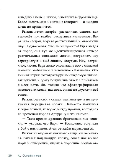 Книга Чертов угол (Алексей Олейников) — 5