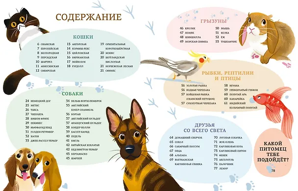 Книга Все-все-все домашние питомцы (Алтея Вилла) — 9