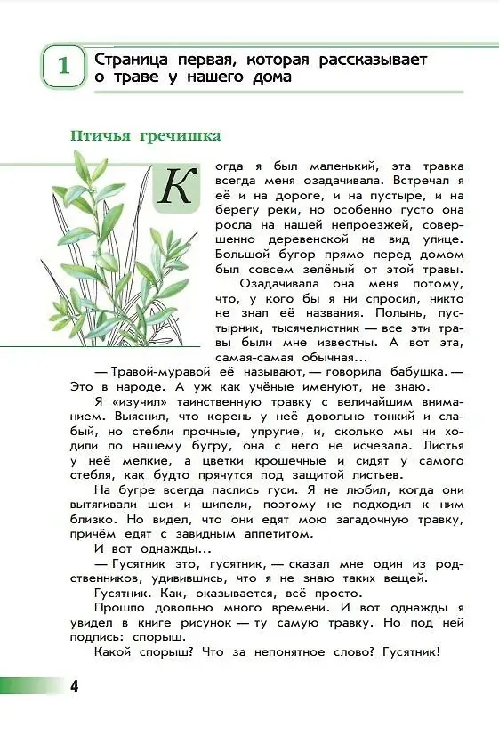 Книга Зеленые страницы (Андрей Плешаков) — 7