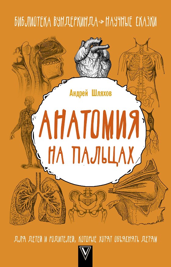Книга Анатомия на пальцах. Для детей и родителей, которые хотят объяснять детям (Андрей Шляхов) — 1