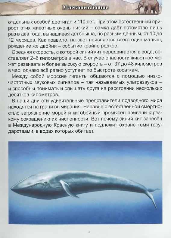Книга Гиганты животного мира. Энциклопедия () — 5