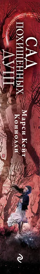Книга Сад похищенных душ (#2) (Марси Кейт Коннолли) — 4