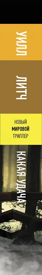 Книга Какая удача (Уилл Литч) — 3