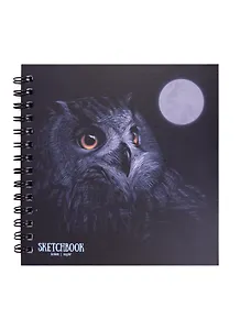 Скетчбук 192*192 60л "Ночной филин" 120г/м2, тв.обложка, евроспираль