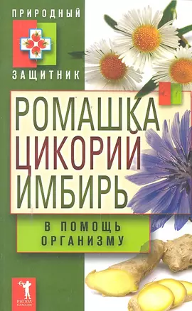 Природный защитник.Ромашка цикорий имбирь в помощь организ — 2299350 — 1