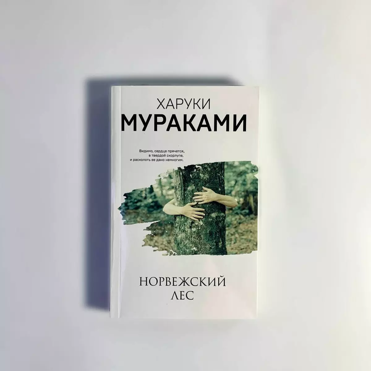 Норвежский лес (Харуки Мураками) - купить книгу с доставкой в  интернет-магазине «Читай-город». ISBN: 978-5-04-112371-0