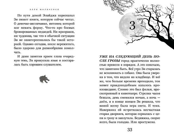 Книга Девочка-призрак (Элли Малиненко) — 8