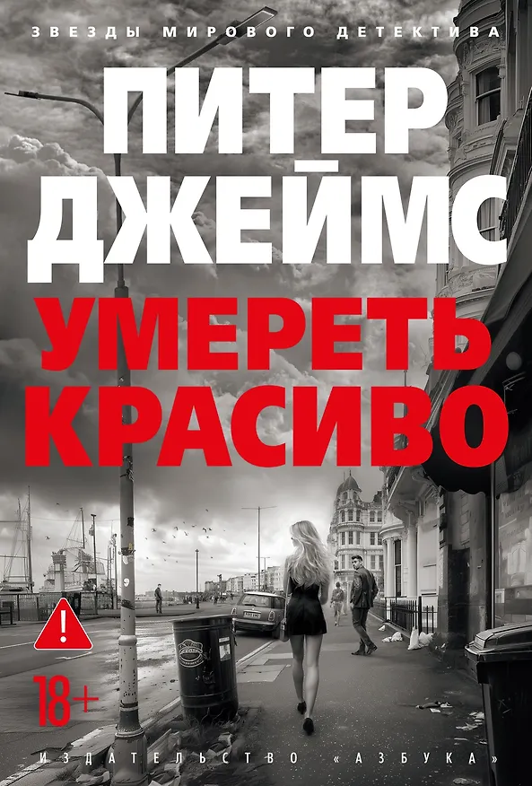 Книга Умереть красиво (Питер Джеймс) — 1