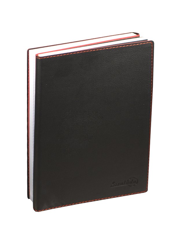 Тетрадь общая «Сopybook» двойная, 160 листов в клетку/в линейку, А5 - Escalada 238131 — 1