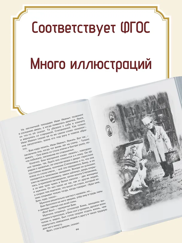 Книга Белый Бим Чёрное ухо (Гавриил Троепольский) — 7