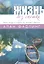 Жизнь без спешки Ритм труда и отдыха по примеру Иисуса (м) Фадлинг — 2599722 — 1