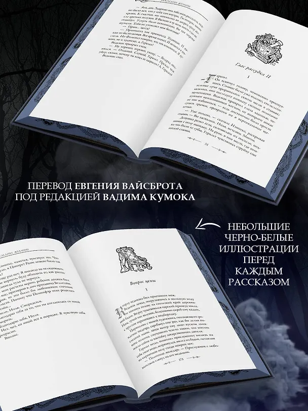 Книга Последнее желание (Анджей Сапковский) — 9