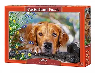 Пазл Castorland 500 эл., Ретривер 47*33см. B-52622 2796221