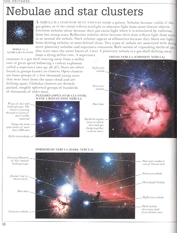 Книга Pocket Visual Dictionary () — 5