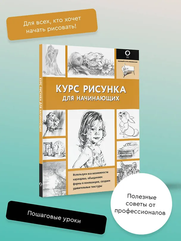 Книга Курс рисунка для начинающих (Диана Кардаччи) — 5