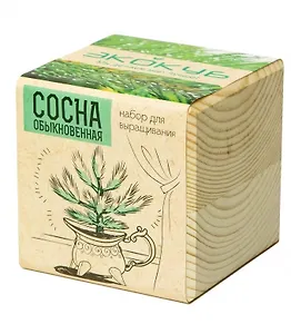 Набор для опытов и экспериментов Набор для выращивания Экокуб Сосная обыкновенная