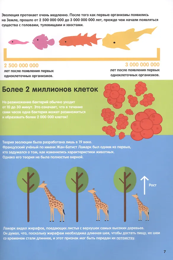 Книга Эволюция. Инфографика (Харриет Брандл) — 6