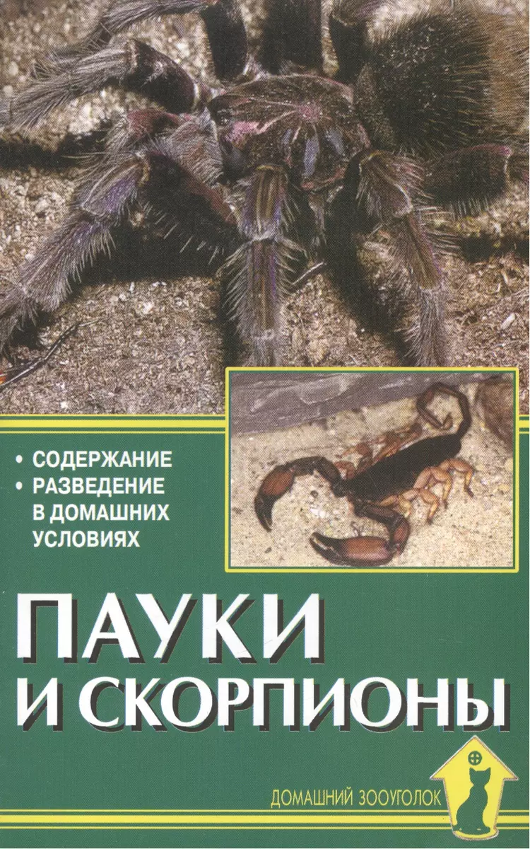 Пауки и скорпионы. Содержание. Разведение в домашних условиях (Александр  Чегодаев) - купить книгу с доставкой в интернет-магазине «Читай-город».  ISBN: 978-5-904880-28-6