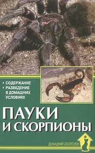 Пауки и скорпионы. Содержание. Разведение в домашних условиях