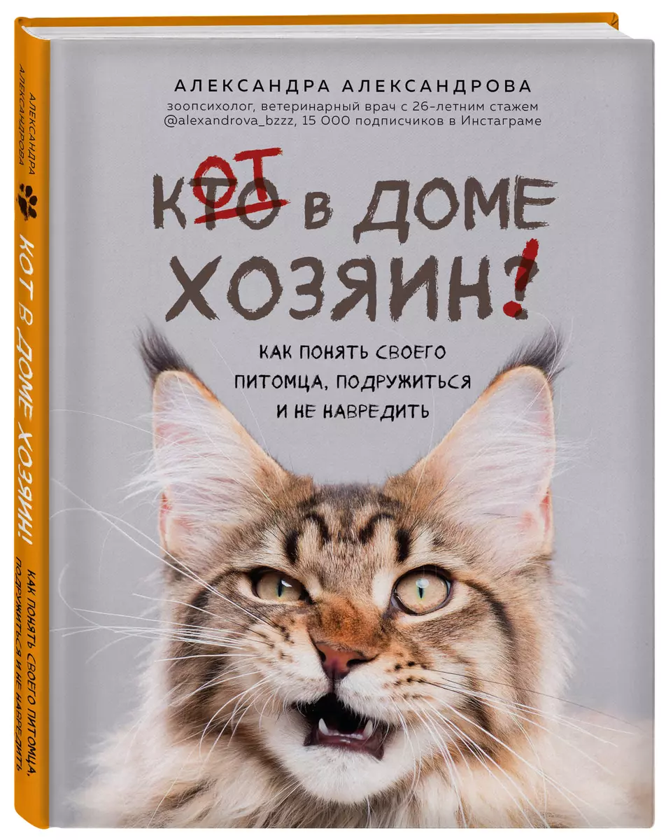 Кот в доме хозяин! Как понять своего питомца, подружиться и не навредить  (Александра Александрова) - купить книгу с доставкой в интернет-магазине  «Читай-город». ISBN: 978-5-04-113890-5