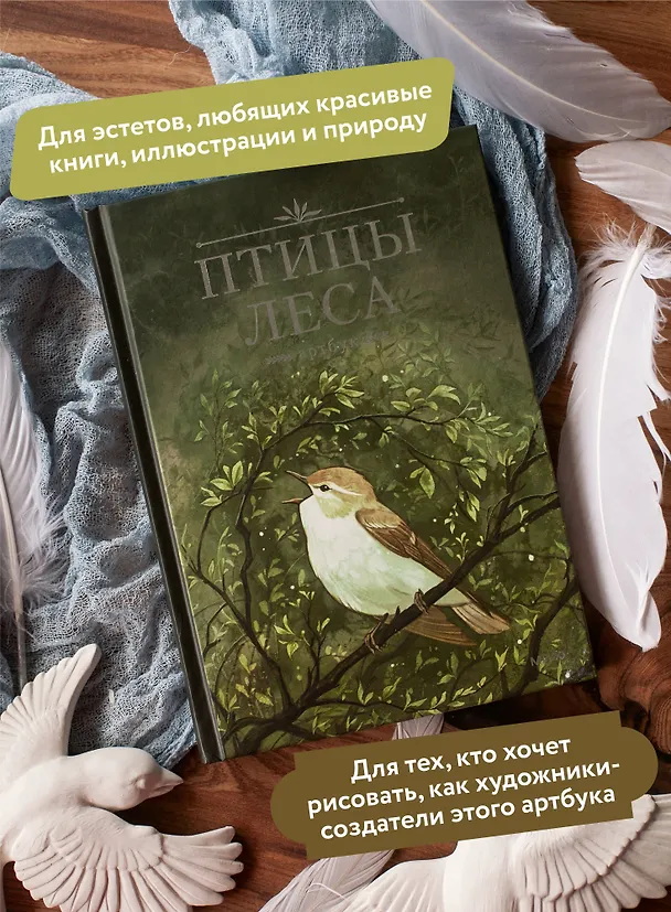 Книга Птицы леса. Артбук (Geo Saiko) — 7