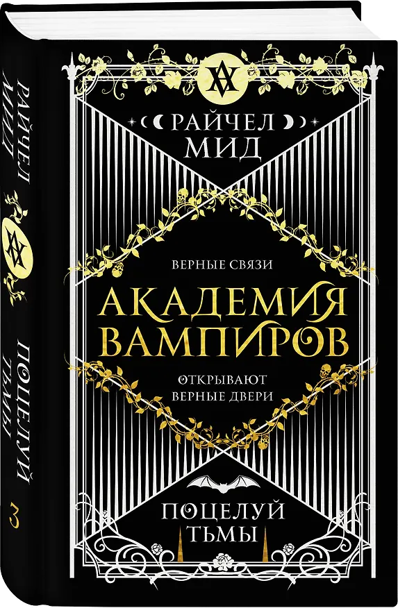 Книга Академия вампиров. Книга 3. Поцелуй тьмы (Райчел Мид) — 4