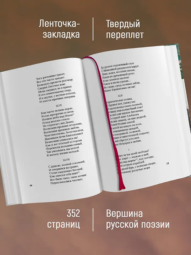 Книга Евгений Онегин (Александр Пушкин) — 6