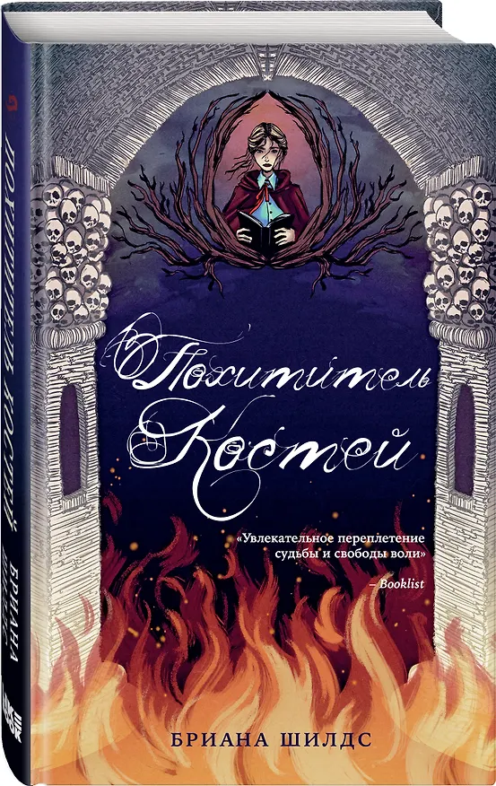 Книга Похититель костей (Бриана Шилдс) — 4