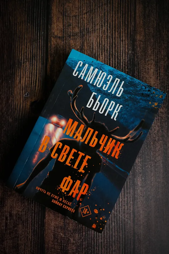 Книга Мальчик в свете фар (Самюэль Бьорк) — 4