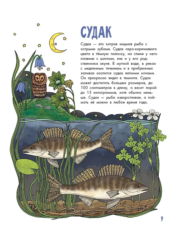 Книга Рыбы (Эмма Янссон) — 14