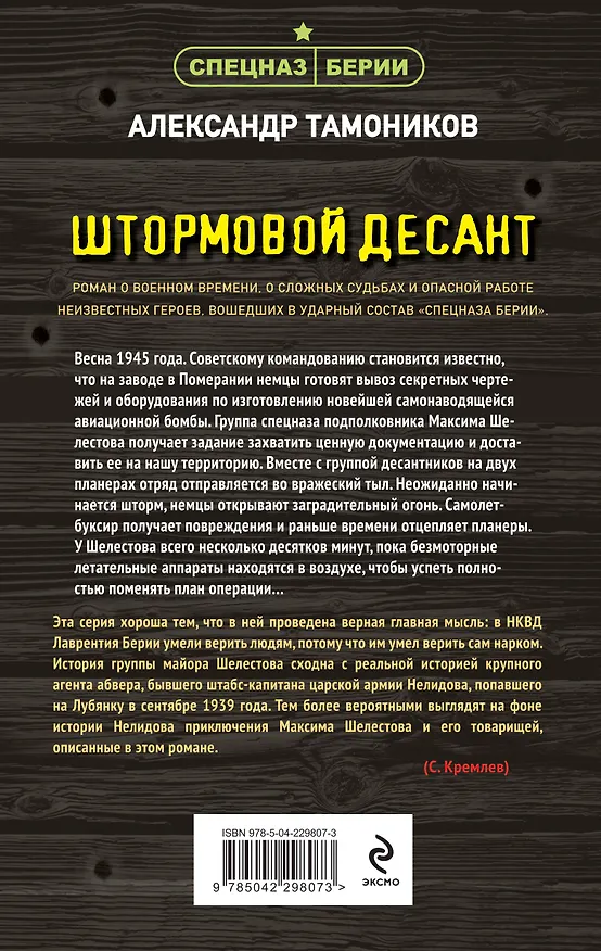 Книга Штормовой десант (Александр Тамоников) — 2