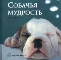 Собачья мудрость — 2075927 — 1