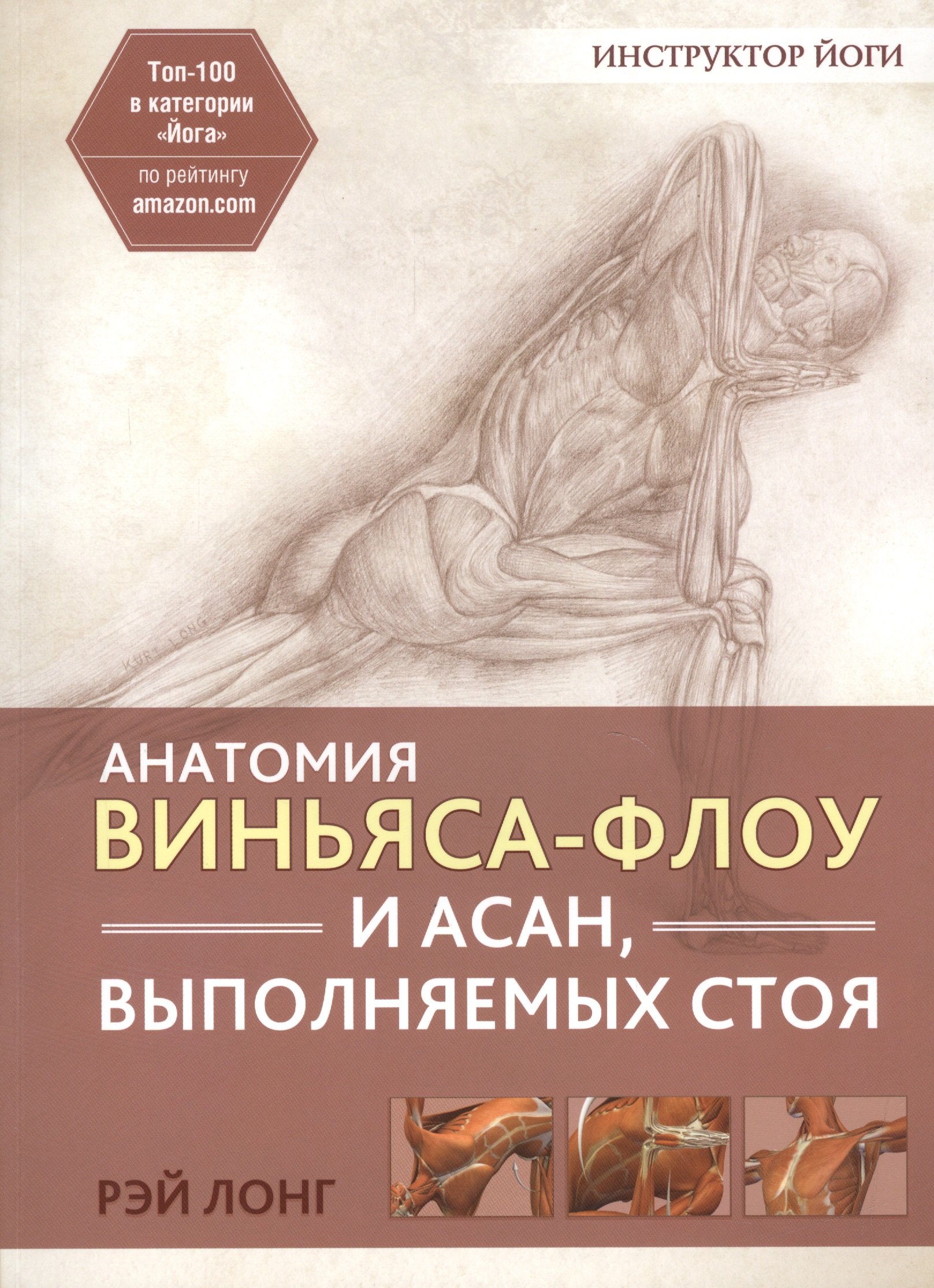 

Анатомия виньяса-флоу и асан, выполняемых стоя