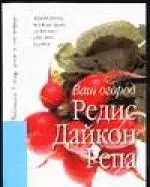 Редис. Дайкон. Репа — 2035306 — 1