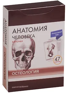 Анатомия человека. Карточки. Остеология. Интенсивный курс (47 карточек)