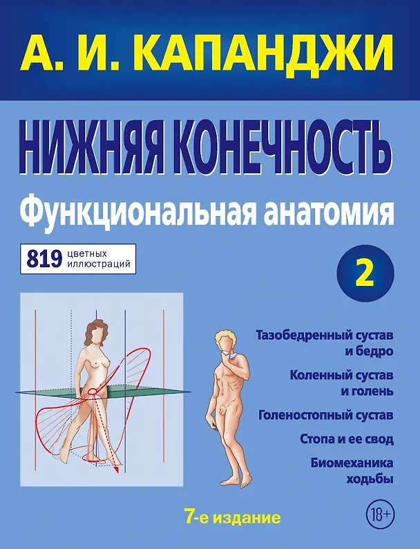 Книга Нижняя конечность: Функциональная анатомия. Том 2. 819 цветных иллюстраций (Адальберт Капанджи) — 1