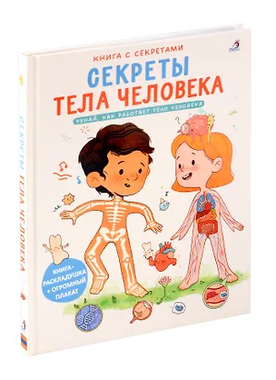 Книга Книга с секретами. Секреты тела человека ()