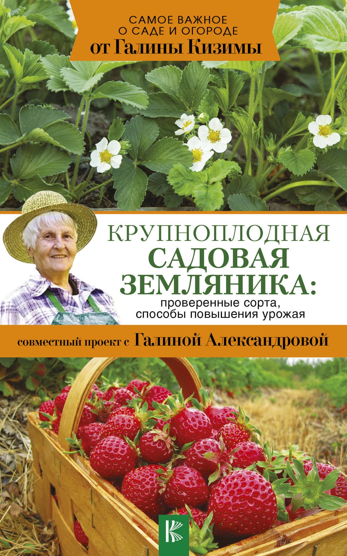 

Крупноплодная садовая земляника: проверенные сорта, способы повышения урожая