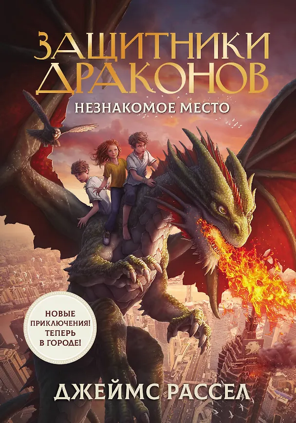 Книга Защитники драконов. Незнакомое место (Джеймс Рассел) — 1