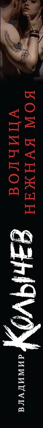 Книга Волчица нежная моя (Владимир Колычев) — 3
